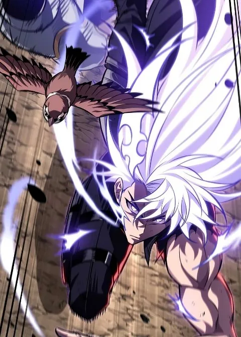 Ch.215