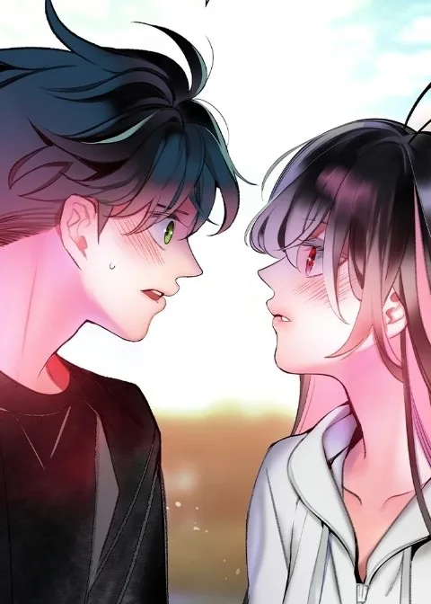 Ch.221