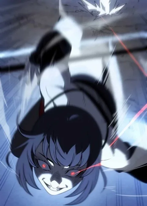 Ch.213