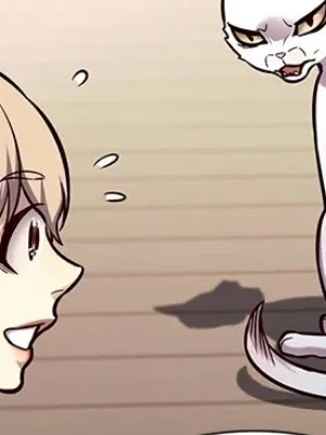 Ch.144