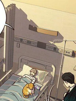 Ch.29