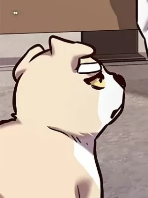 Ch.295