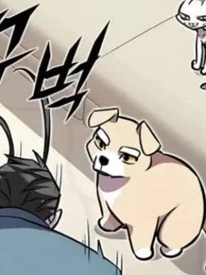 Ch.375