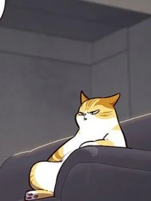 Ch.43