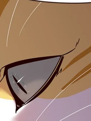 Ch.96